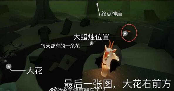 《光遇》4.8大蠟燭在哪 4月8日大蠟燭位置