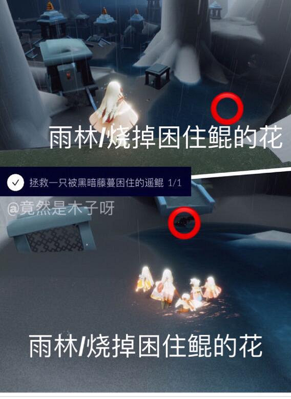 《光遇》3.3任務攻略 3月3日每日任務怎麽做 《光遇》3.3任務攻略 3月3日每日任務怎麽做