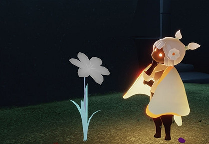 《光遇》小白花禮包多少錢 小白花禮包價格介紹