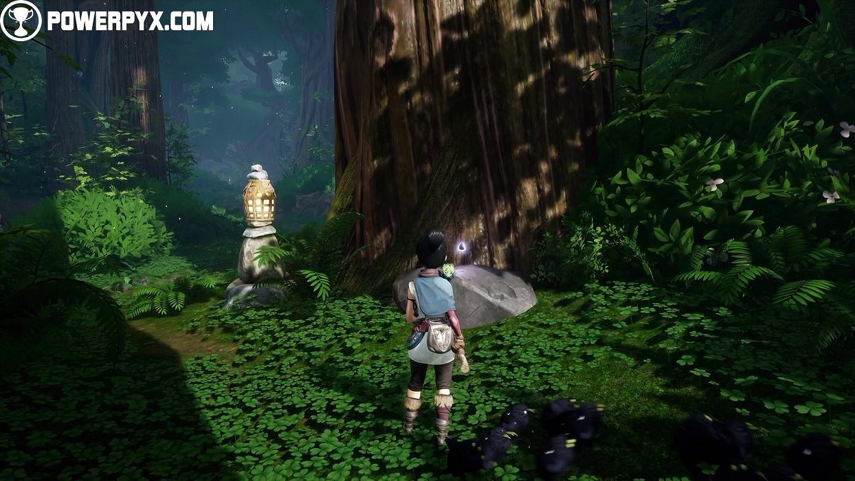 《奇納靈魂之橋》太郎的樹物品分布位置彙總 太郎的樹收集品有哪些？