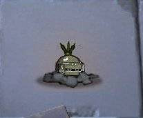 《明日方舟》戰車表情包 彩6連動幹員機槍哥表情包