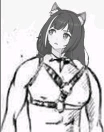 公主連接臭鼬表情包分享 公主連接黑貓凱留表情包整理