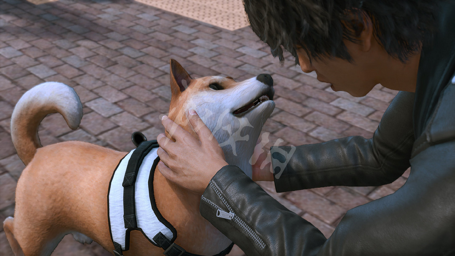 《審判之逝湮滅的記憶》偵探狗怎麽樣？偵探狗使用介紹