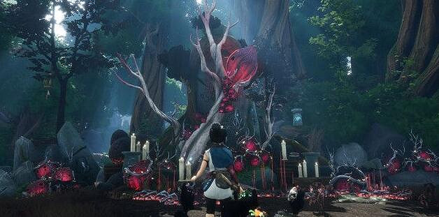 《奇納靈魂之橋》蠟燭怎麽點?神漁聖壇蠟燭點燃順序分享 《奇納靈魂之橋》蠟燭怎麽點?神漁聖壇蠟燭點燃順序分享