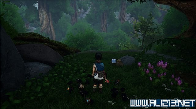 《奇納靈魂之橋》全章節通關流程圖文攻略 收集品有哪些? 《奇納靈魂之橋》全章節通關流程圖文攻略 收集品有哪些?