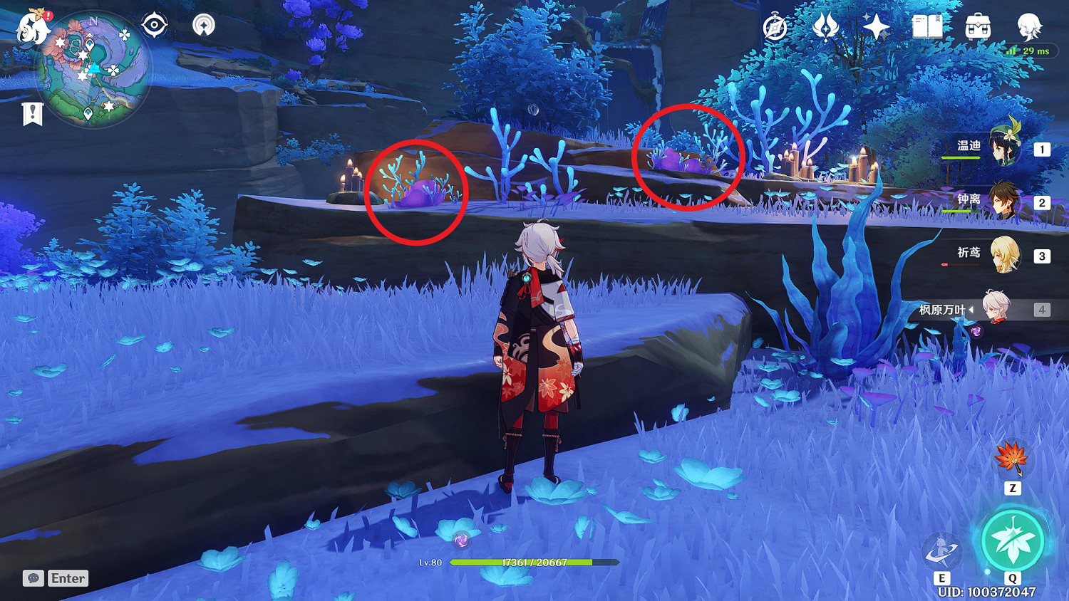 《原神》珊瑚真珠全點位標注