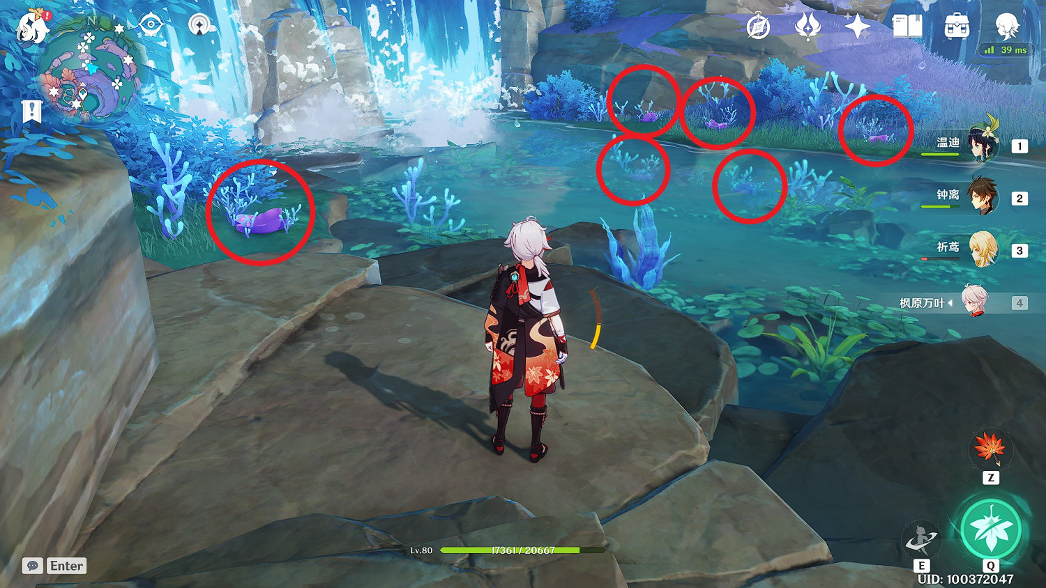 《原神》珊瑚真珠全點位標注