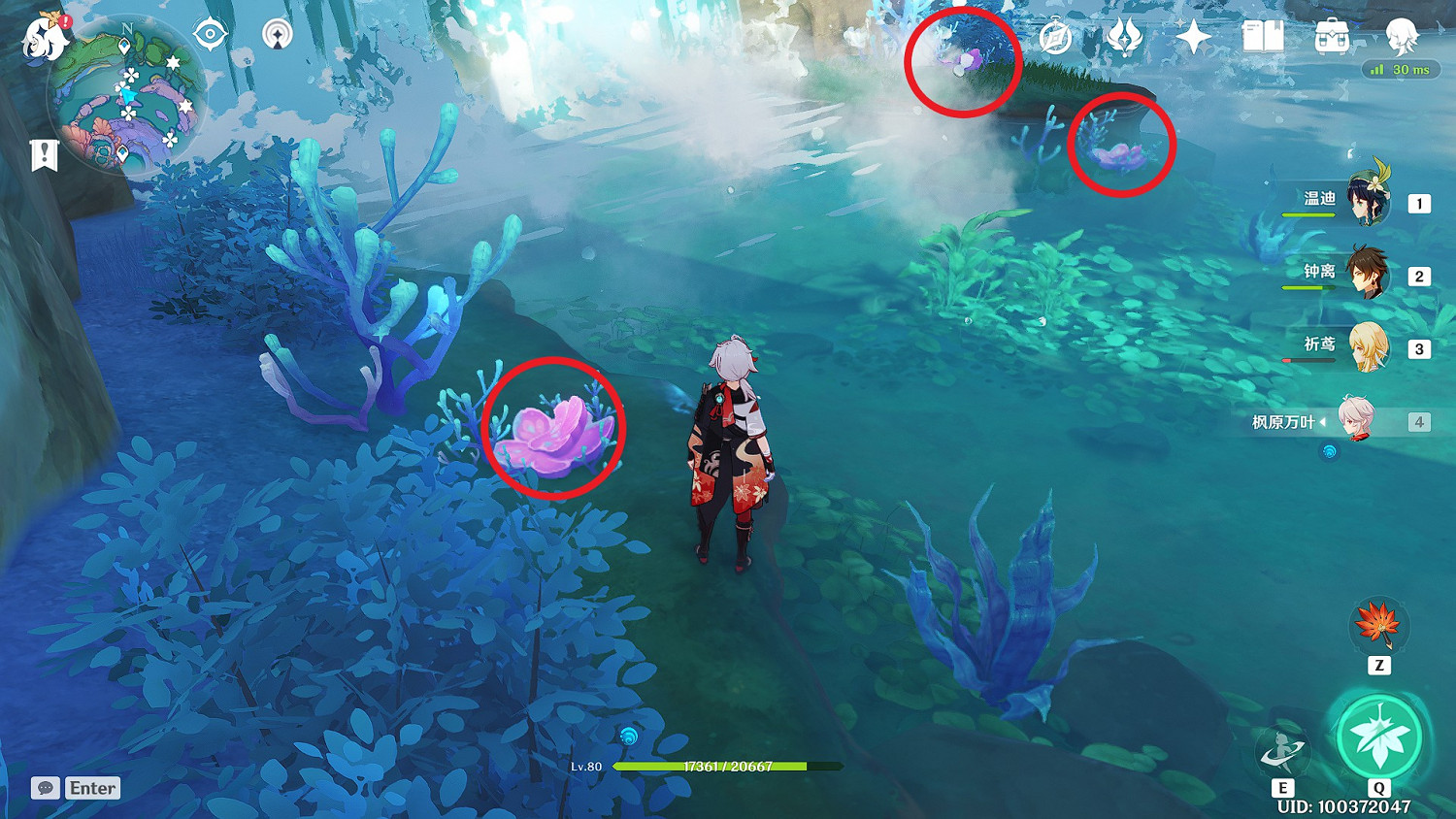 《原神》珊瑚真珠全點位標注