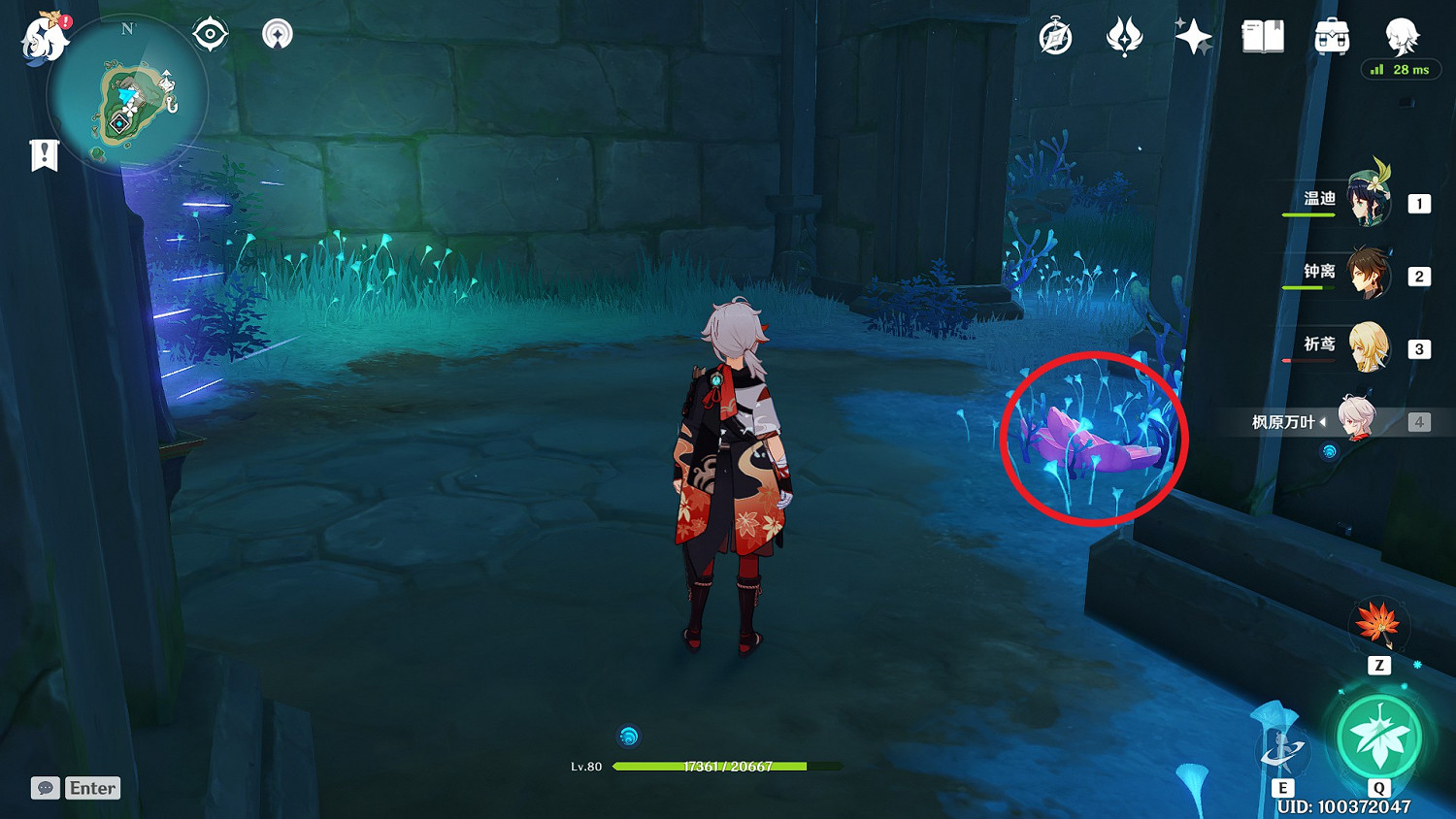 《原神》珊瑚真珠全點位標注