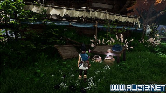 《奇納靈魂之橋》全章節通關流程圖文攻略 收集品有哪些? 《奇納靈魂之橋》全章節通關流程圖文攻略 收集品有哪些?