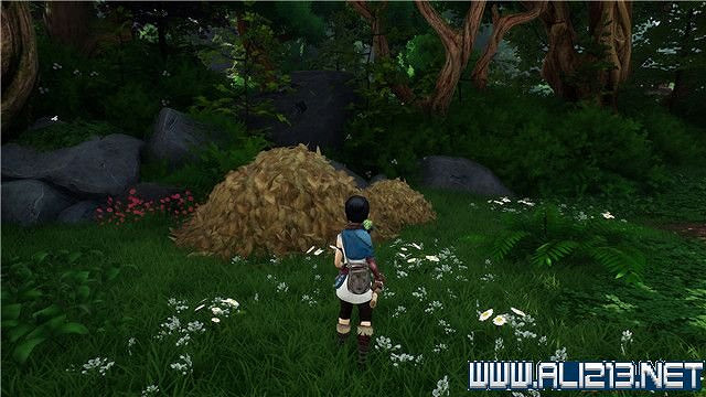 《奇納靈魂之橋》全章節通關流程圖文攻略 收集品有哪些? 《奇納靈魂之橋》全章節通關流程圖文攻略 收集品有哪些?