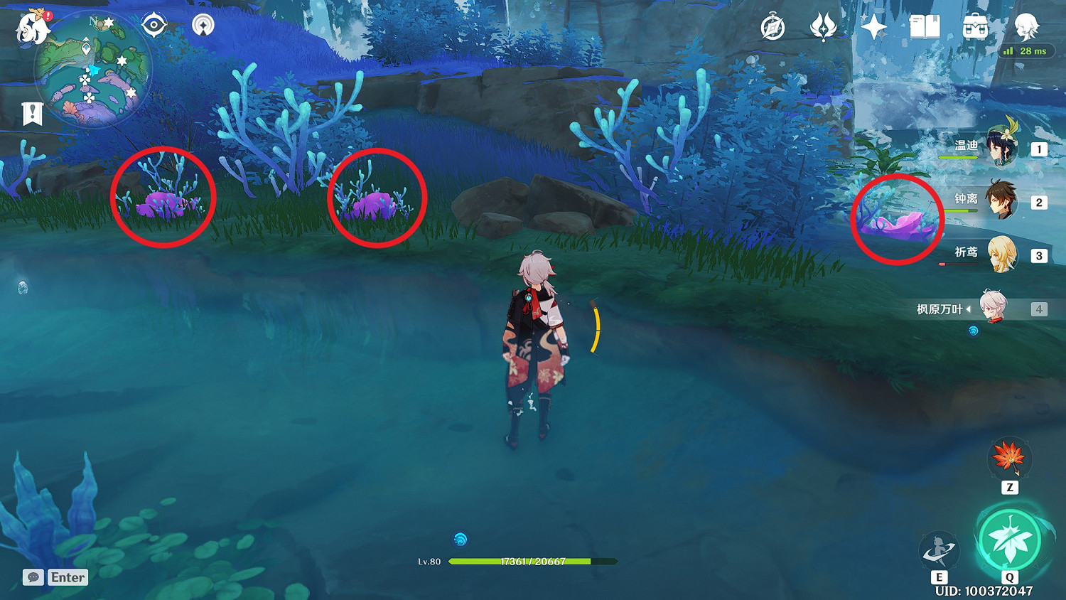 《原神》珊瑚真珠全點位標注