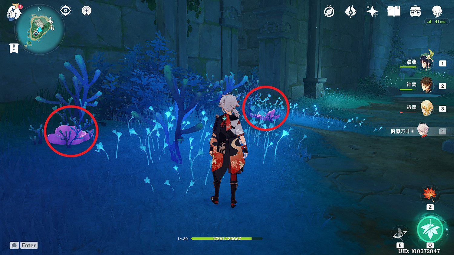 《原神》珊瑚真珠全點位標注