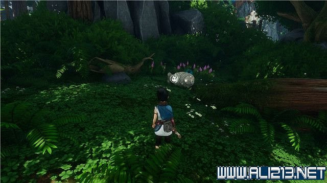 《奇納靈魂之橋》全章節通關流程圖文攻略 收集品有哪些? 《奇納靈魂之橋》全章節通關流程圖文攻略 收集品有哪些?