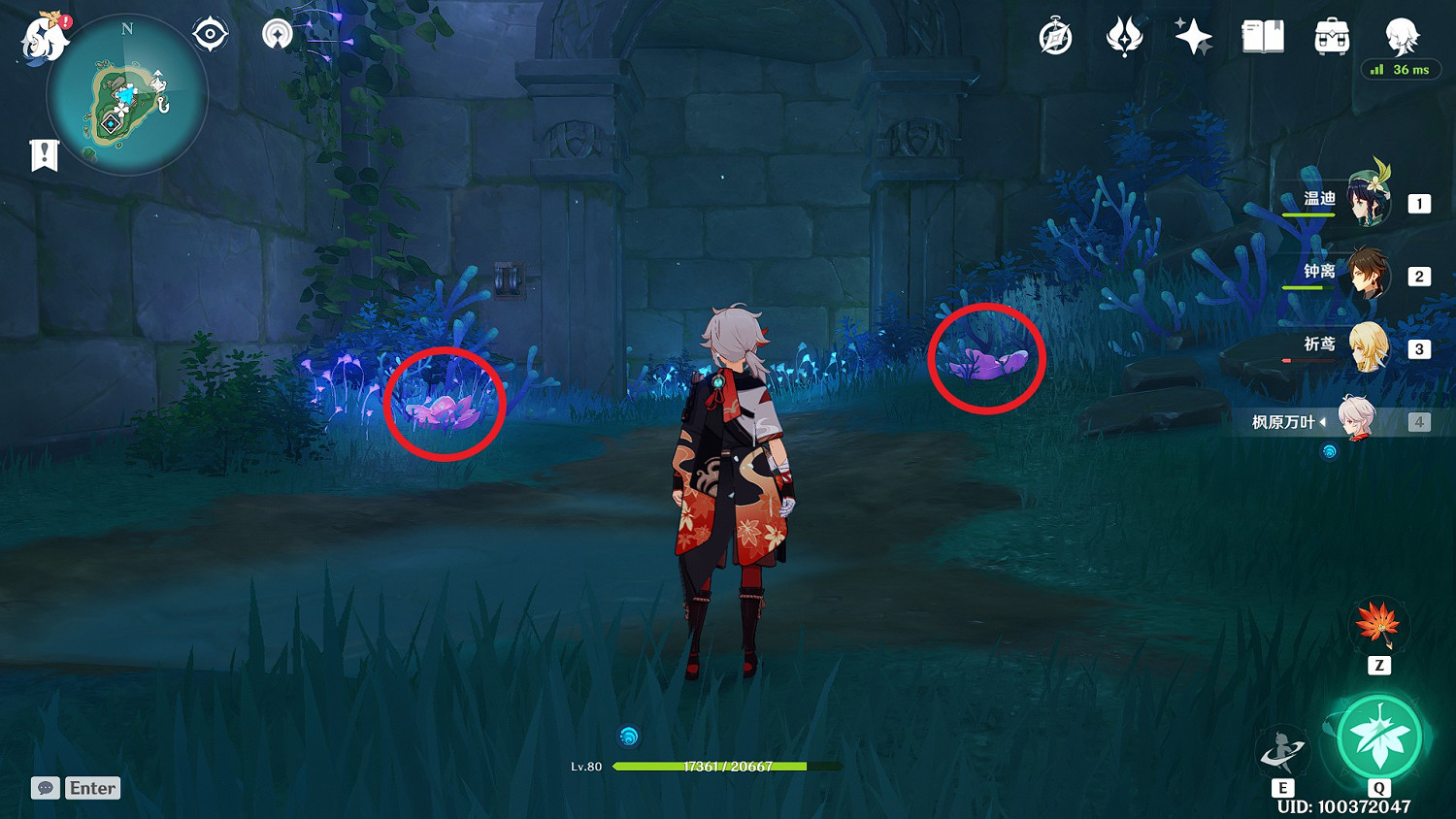 《原神》珊瑚真珠全點位標注