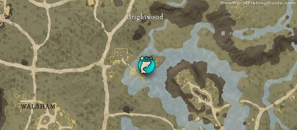 《New World》三星釣點位置及可釣魚類一覽 《New World》三星釣點位置及可釣魚類一覽