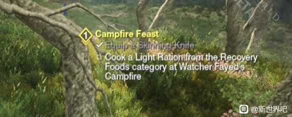 《New World》易卡關任務完成方法 《New World》易卡關任務完成方法