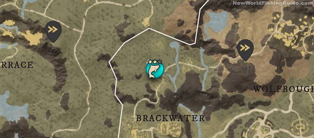 《New World》三星釣點位置及可釣魚類一覽 《New World》三星釣點位置及可釣魚類一覽
