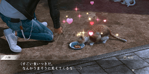 《審判之逝湮滅的記憶》貓咪好感度怎麽提升？貓咪好感提升方法