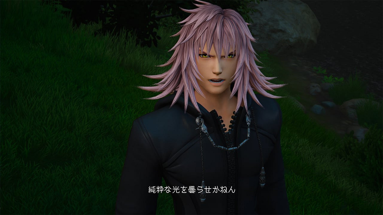 《王國之心3》原十三機關成員名單圖鑒 原十三機關成員有誰