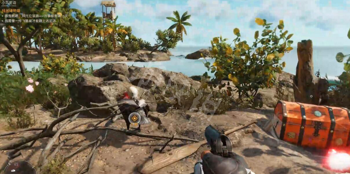 《極地戰嚎6》尋寶遊戲小鳥密語怎麽玩？小鳥密語鑰匙獲得方法