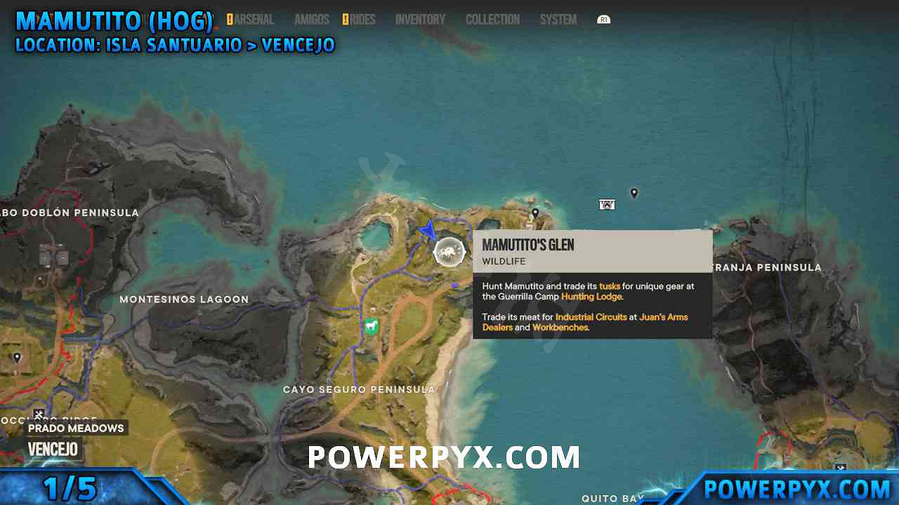 《極地戰嚎6》神話動物位置全匯總 全神話動物地圖位置一覽 《極地戰嚎6》神話動物位置全匯總 全神話動物地圖位置一覽