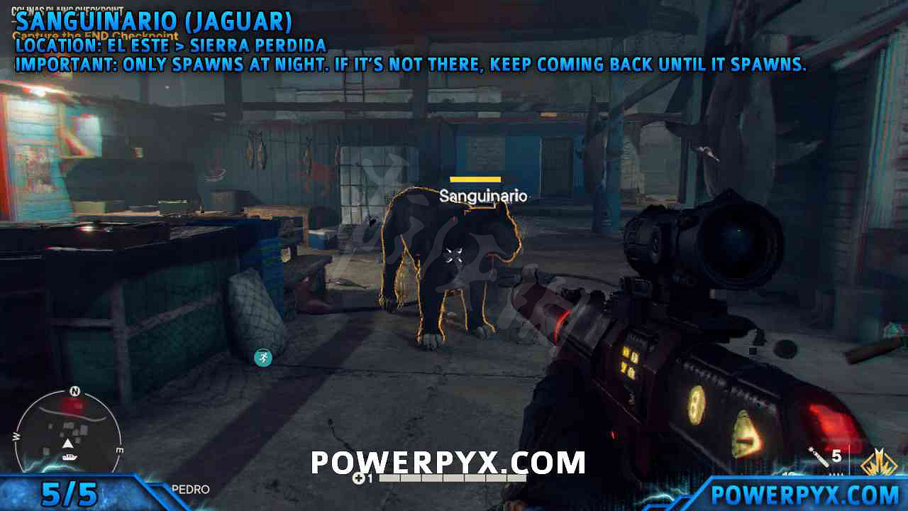 《極地戰嚎6》神話動物位置全匯總 全神話動物地圖位置一覽 《極地戰嚎6》神話動物位置全匯總 全神話動物地圖位置一覽