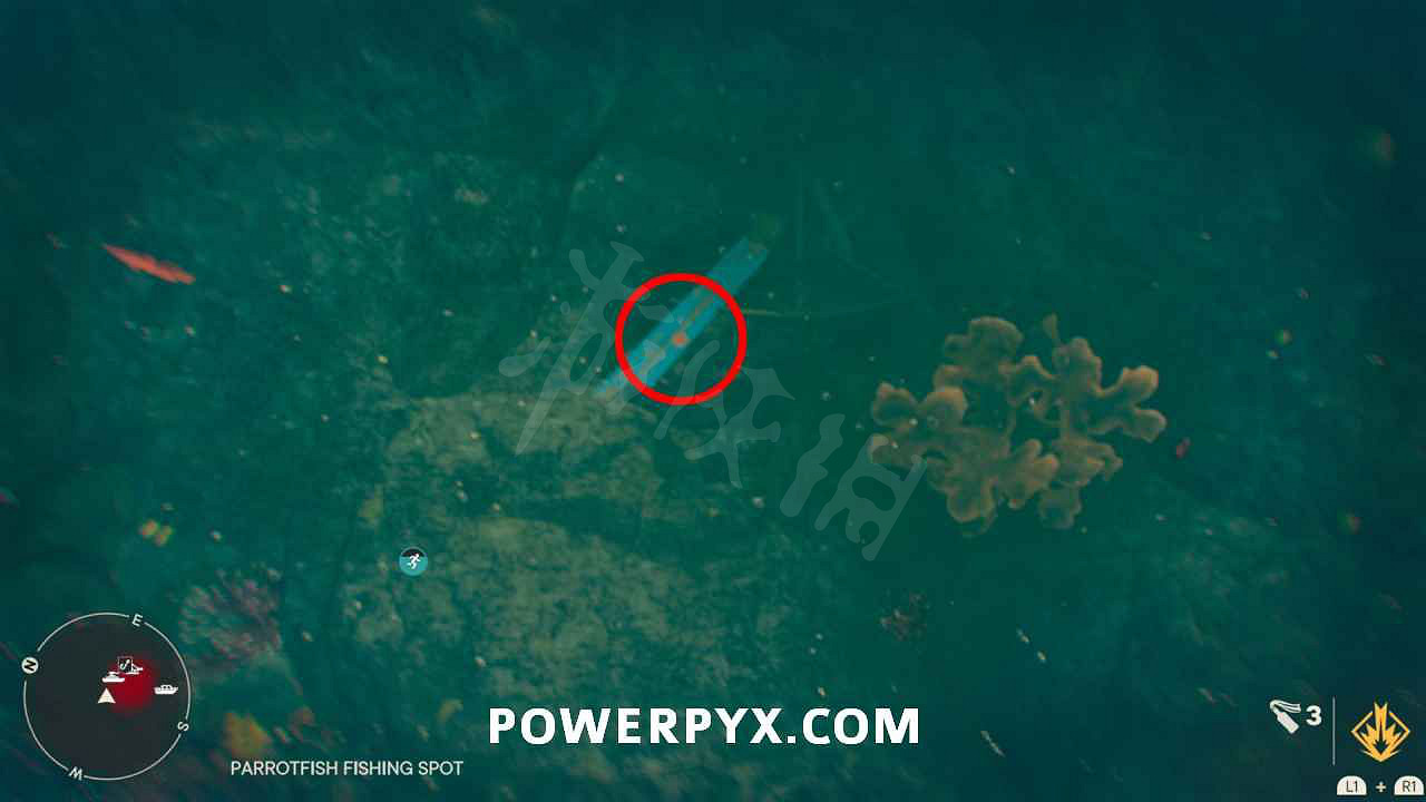 《極地戰嚎6》密碼箱密碼表位置匯總 全密碼箱獲得指南