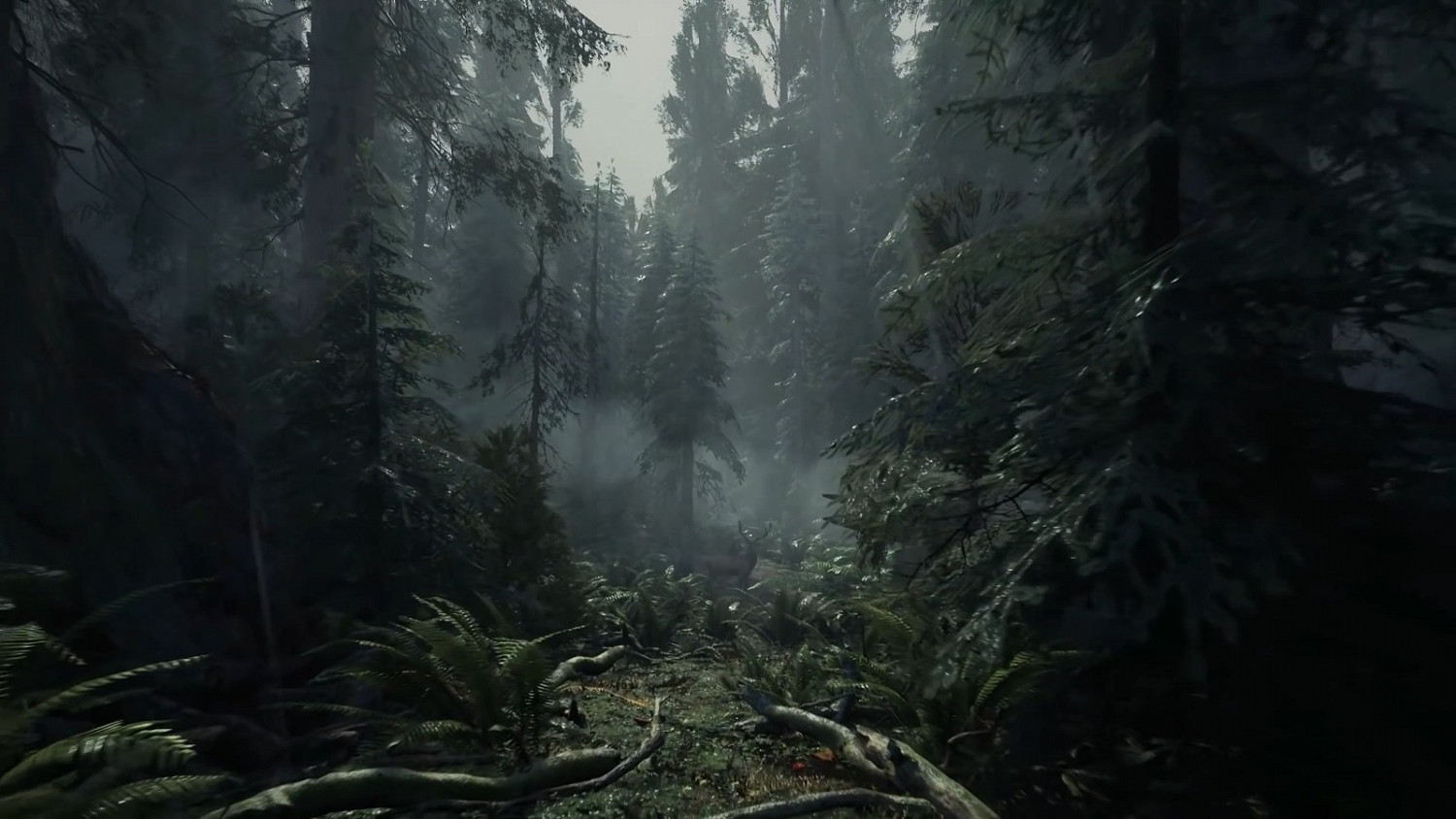 恐龍生存冒險《The Lost Wild》實機預告片 恐龍生存冒險《The Lost Wild》實機預告片