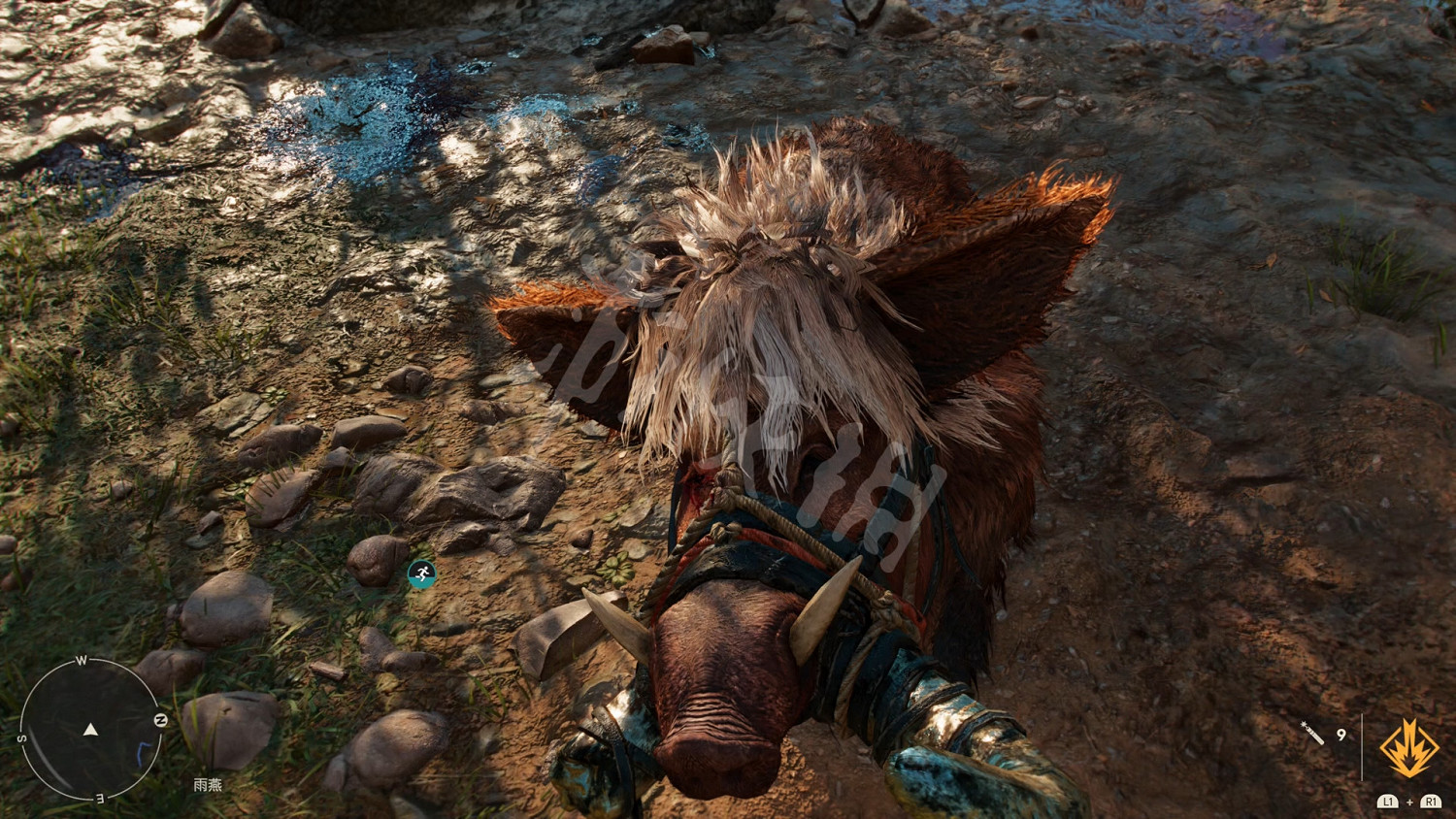 《極地戰嚎6》終極掠食者獎杯達成方法 傳奇動物在哪? 《極地戰嚎6》終極掠食者獎杯達成方法 傳奇動物在哪?