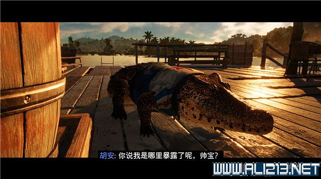 《極地戰嚎6》全任務全流程通關圖文攻略 全地圖武器收集方法 《極地戰嚎6》全任務全流程通關圖文攻略 全地圖武器收集方法