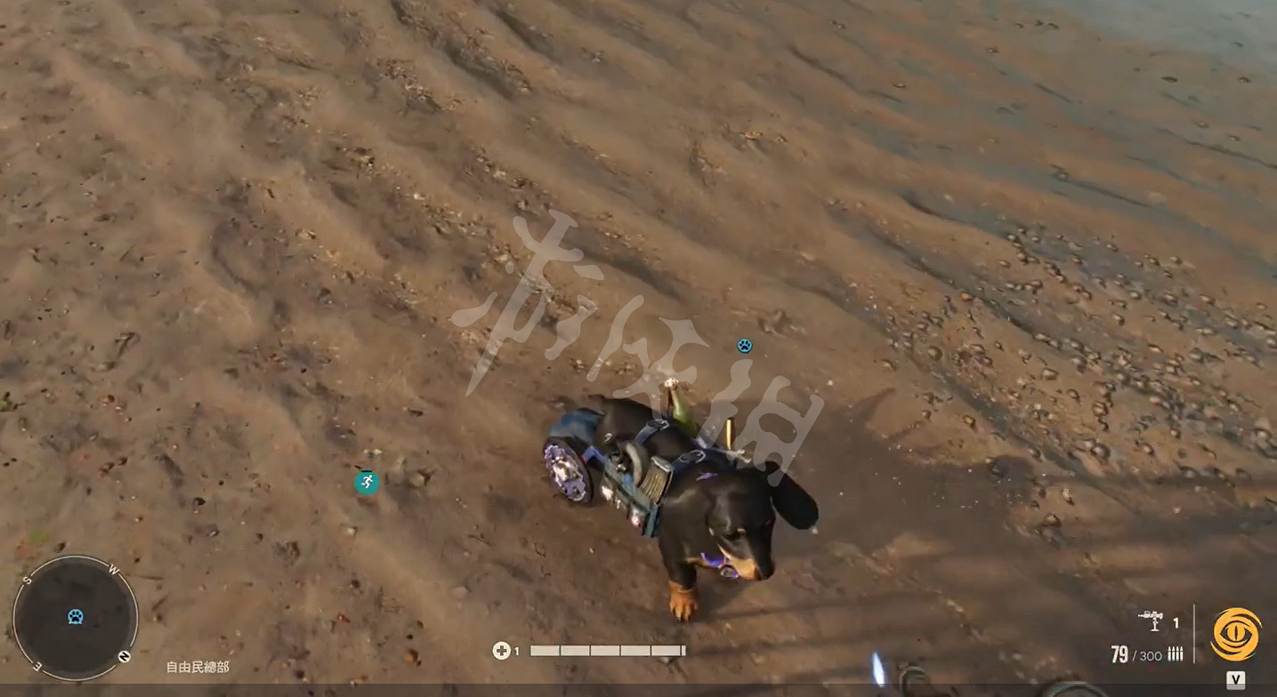 《極地戰嚎6》肉腸第三技能怎麽玩?肉腸敏銳感知挑戰玩法推薦 《極地戰嚎6》肉腸第三技能怎麽玩?肉腸敏銳感知挑戰玩法推薦