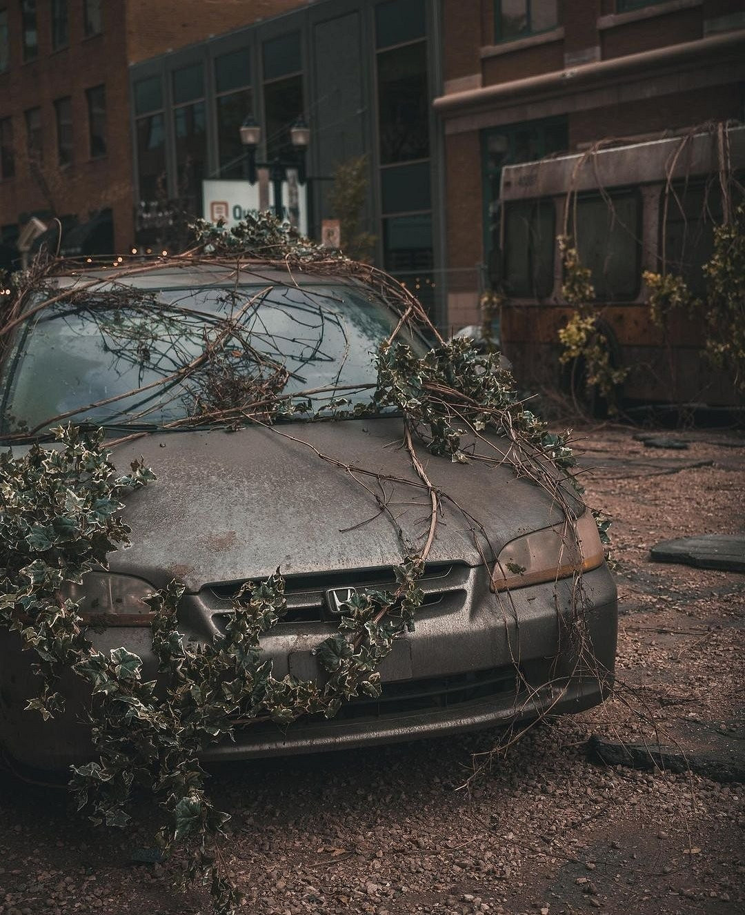 《最後的生還者》電視劇新片場照 喬爾正面亮相 《最後的生還者》電視劇新片場照 喬爾正面亮相