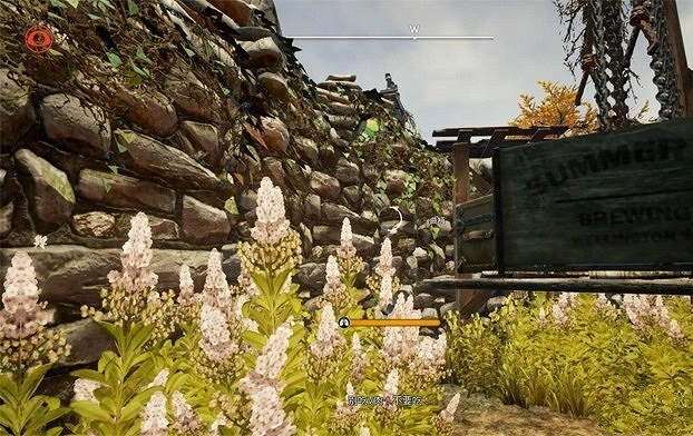 《少數幸運兒》支線怎麽做 全支線任務攻略