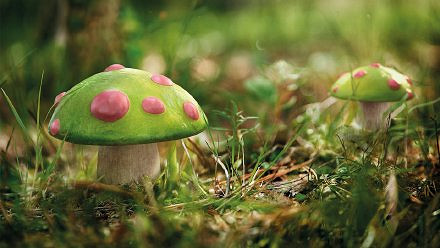 《英雄聯盟手遊》提莫什麽時候出 lol手遊提莫上線時間介紹