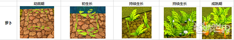 《迷你世界》蘿卜土豆種植方法 蘿卜土豆耕地使用種植技巧