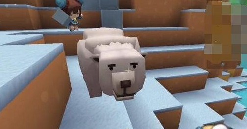 《迷你世界》雪熊怎麽繁殖 雪熊繁殖方法介紹 《迷你世界》雪熊怎麽繁殖 雪熊繁殖方法介紹