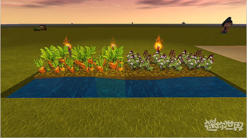 《迷你世界》蘿卜土豆種植方法 蘿卜土豆耕地使用種植技巧