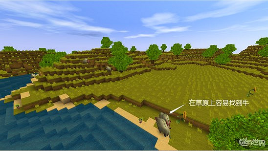 《迷你世界》動物分布在哪 動物分布圖