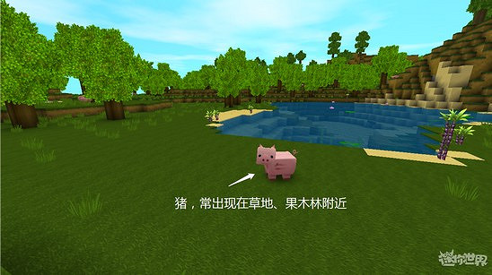 《迷你世界》動物分布在哪 動物分布圖