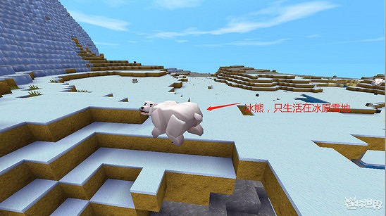 《迷你世界》動物分布在哪 動物分布圖