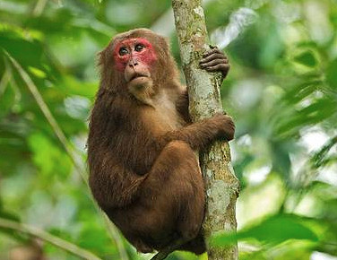 《鬼谷八荒》怪物圖鑒及出處匯總 怪物有哪些？