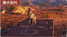 《決勝時刻：Mobile》獵犬晶片使用技巧 獵犬晶片詳細介紹