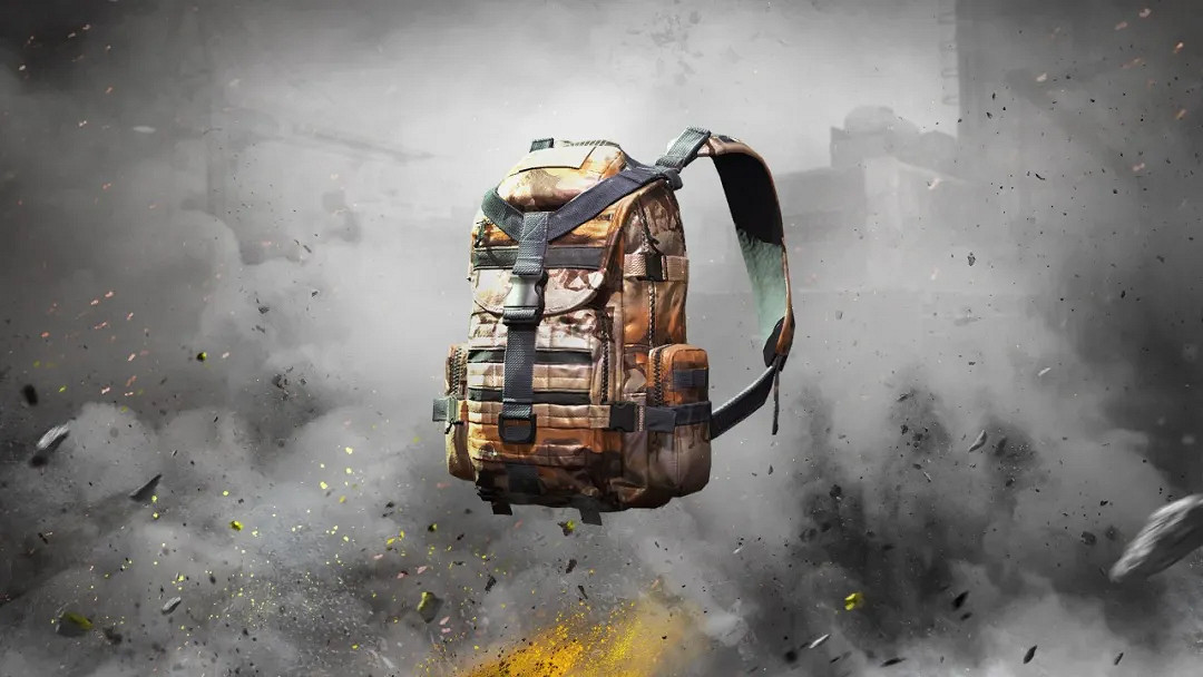 《決勝時刻：Mobile》戰鬥集結幸運箱怎麽樣 戰鬥集結寶箱皮膚介紹