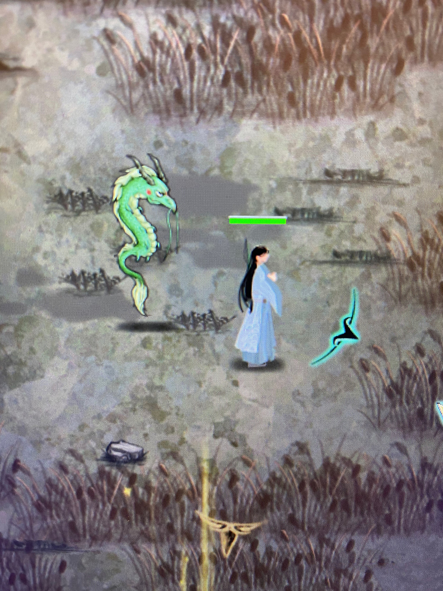 《鬼谷八荒》小跟屁龍有什麽用 小跟屁龍逆天改命介紹 《鬼谷八荒》小跟屁龍有什麽用 小跟屁龍逆天改命介紹