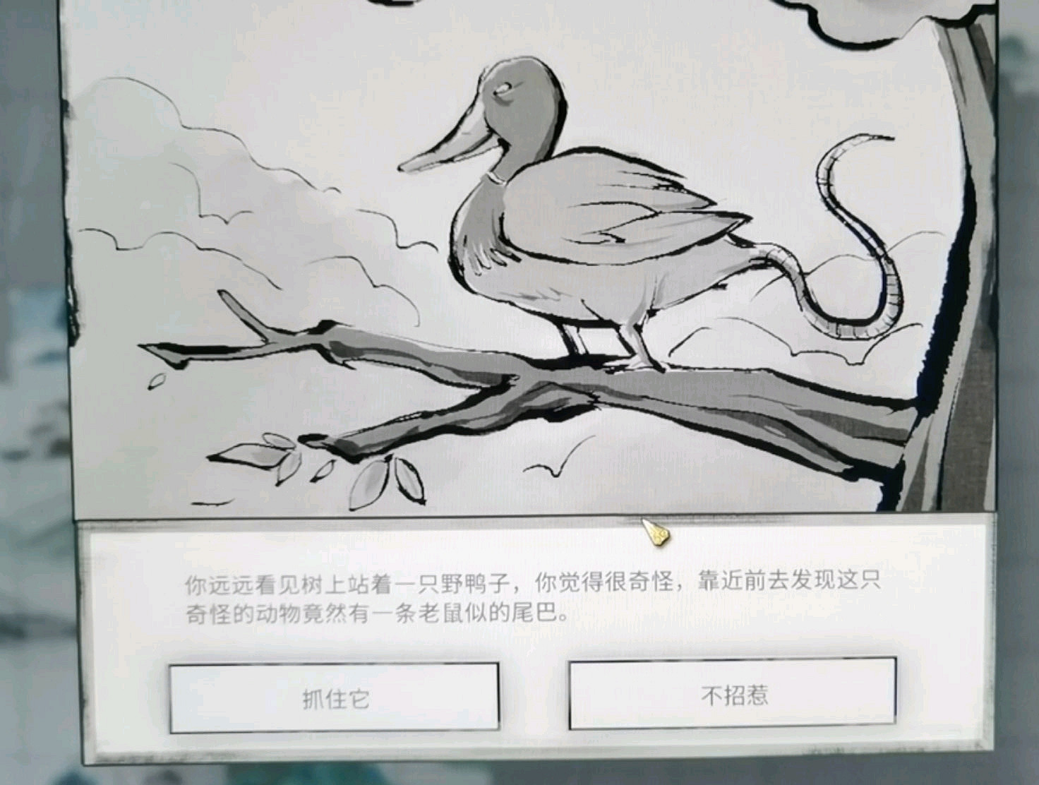 《鬼谷八荒》野鴨子奇遇怎麽選 野鴨子奇遇選擇推薦