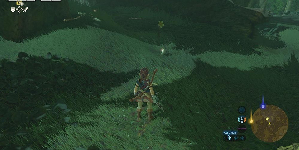 《塞爾達傳說：曠野之息》中央海拉爾地區種子收集圖文攻略