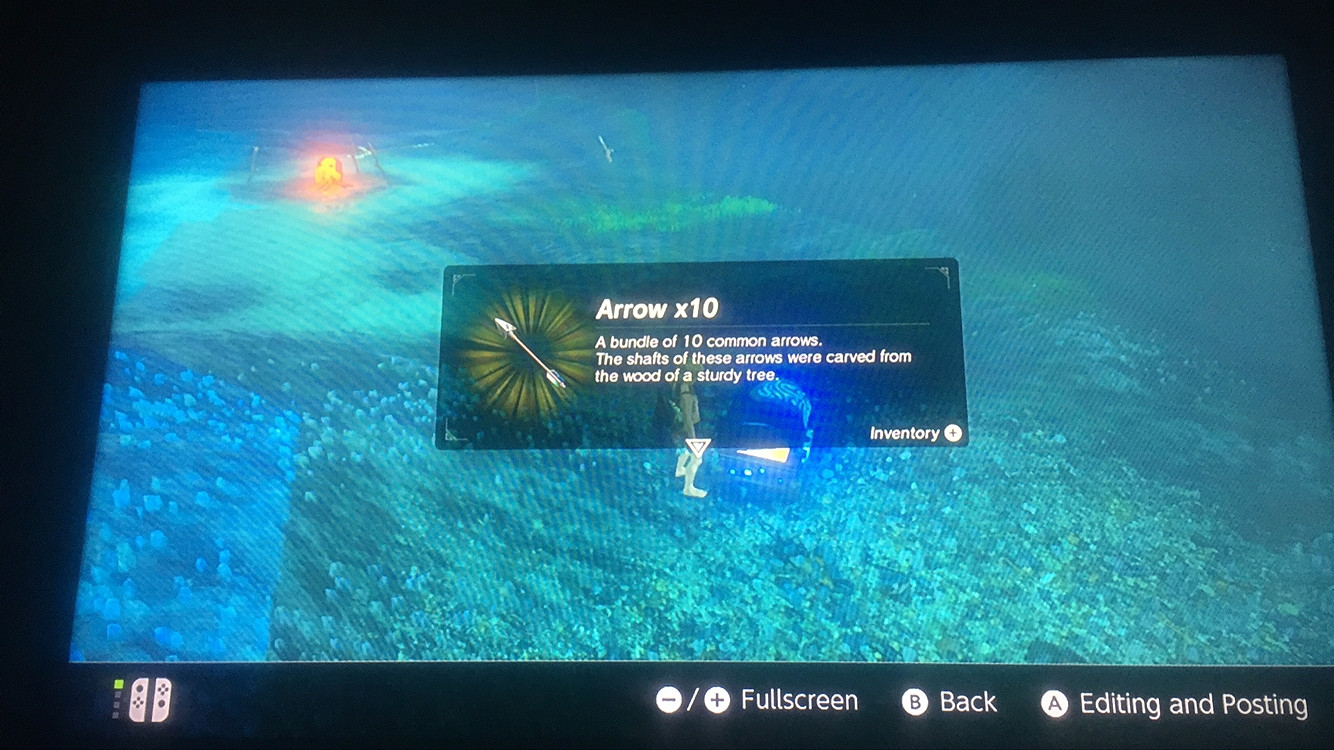 《塞爾達傳說:曠野之息》大師模式劍之試煉初級通關攻略 《塞爾達傳說:曠野之息》大師模式劍之試煉初級通關攻略