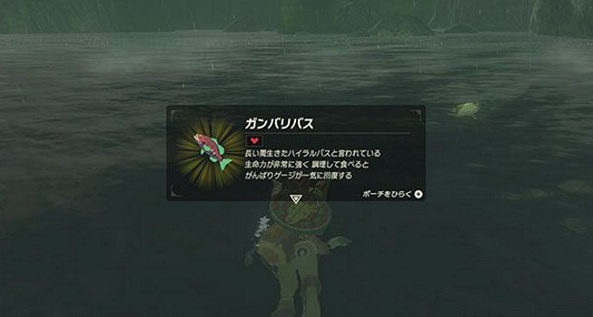 《塞爾達傳說：曠野之息》早期獲得高能力馬的方法解讀