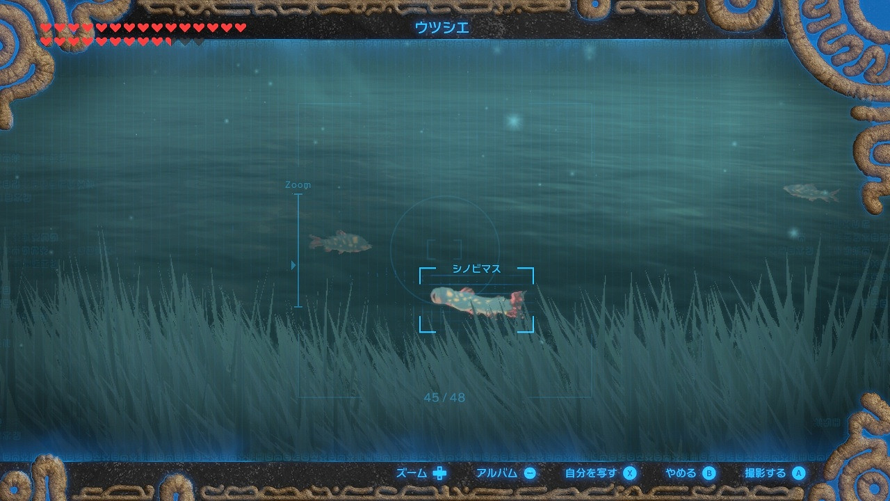 《塞爾達傳說:曠野之息》部分緊缺素材高效率收集方法匯總 《塞爾達傳說:曠野之息》部分緊缺素材高效率收集方法匯總